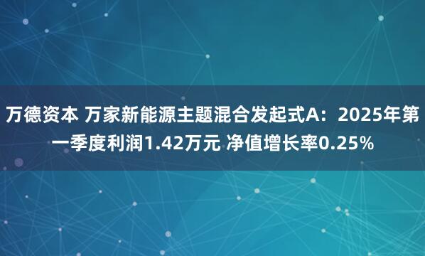 万德资本 万家新能源主题混合发起式A：2025年第一季度利润1.42万元 净值增长率0.25%