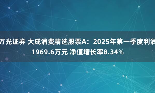 万光证券 大成消费精选股票A：2025年第一季度利润1969.6万元 净值增长率8.34%