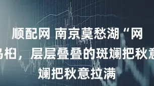 顺配网 南京莫愁湖“网红”乌桕，层层叠叠的斑斓把秋意拉满