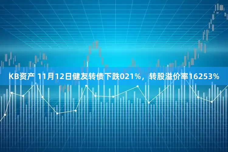 KB资产 11月12日健友转债下跌021%，转股溢价率16253%
